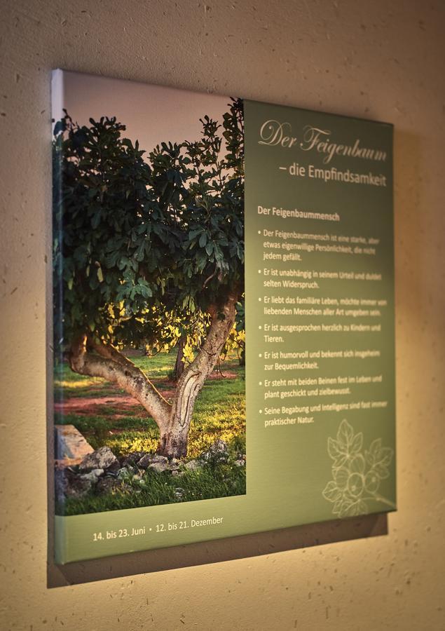 Zedernhof Gesundheits- & Wellnesshotel Stamsried Eksteriør billede